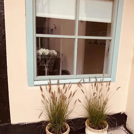 Usedomtor 1720 I 公寓 *